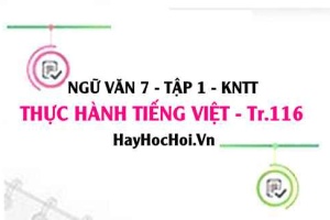 Soạn bài Thực hành tiếng Việt trang 116 Ngữ văn lớp 7 Kết nối tri thức tập 1